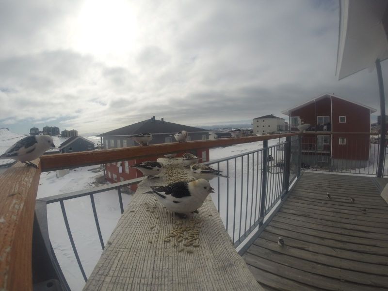 DCIM\116GOPRO