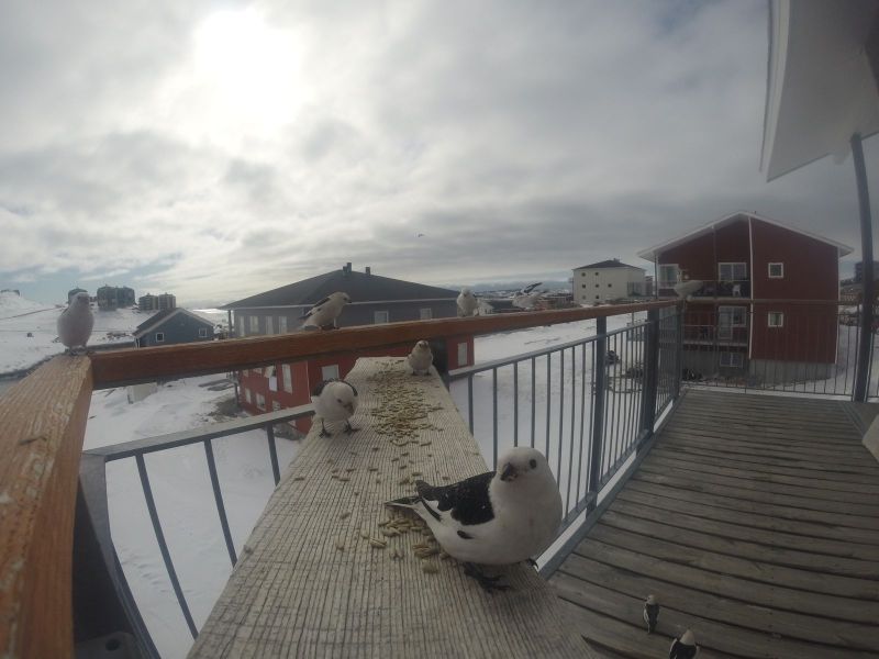 DCIM\116GOPRO