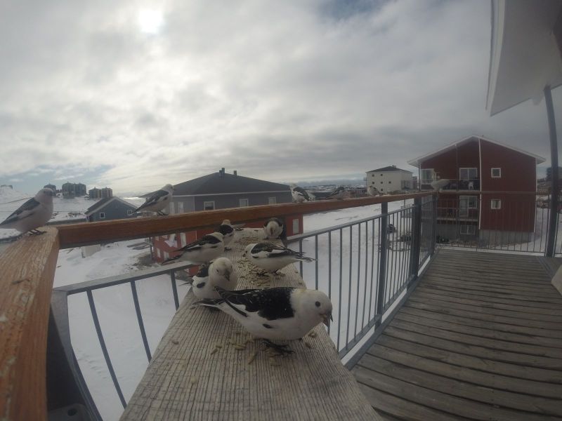 DCIM\116GOPRO