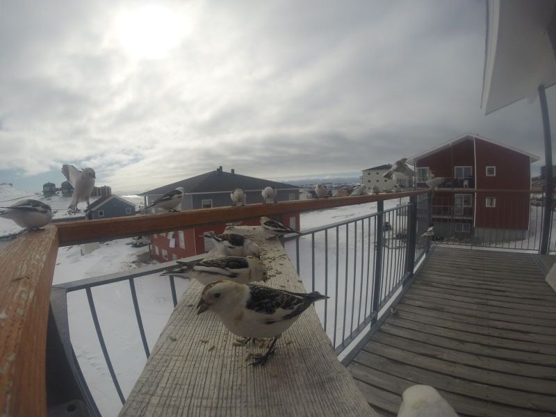DCIM\116GOPRO