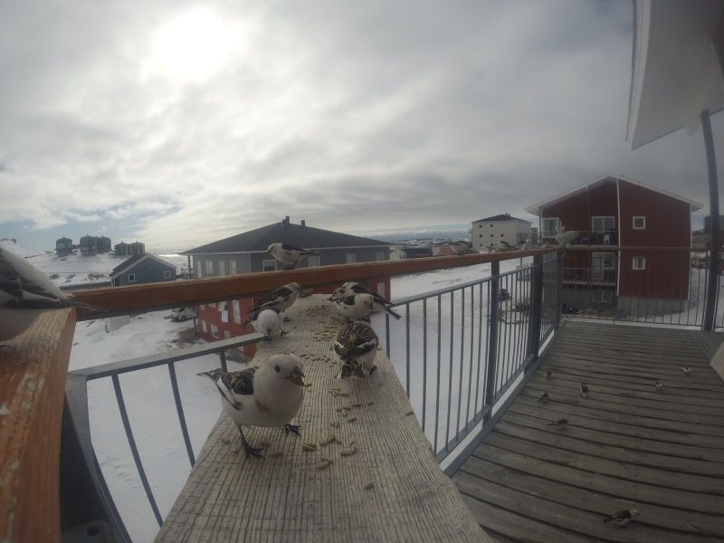 DCIM\116GOPRO