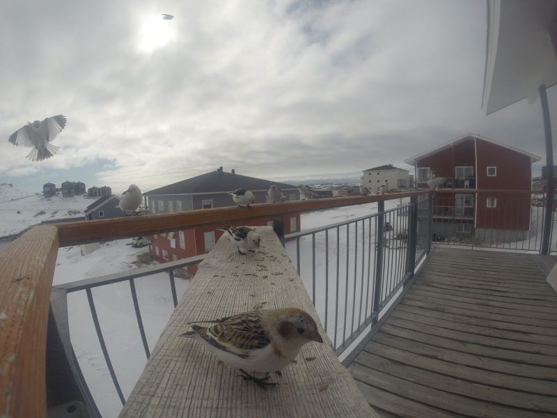 DCIM\116GOPRO
