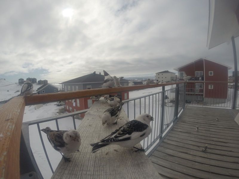 DCIM\116GOPRO