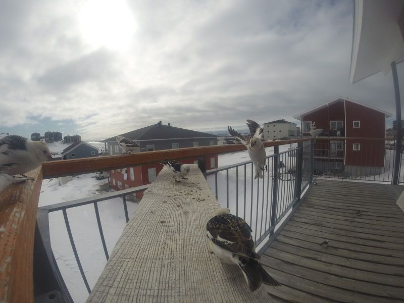 DCIM\116GOPRO