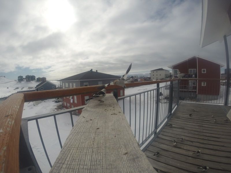 DCIM\116GOPRO