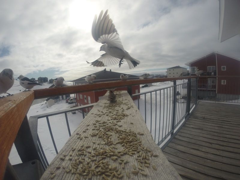 DCIM\116GOPRO