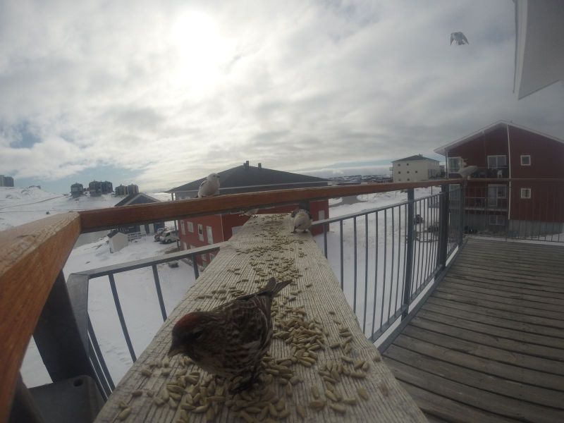 DCIM\116GOPRO