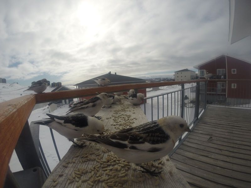 DCIM\116GOPRO