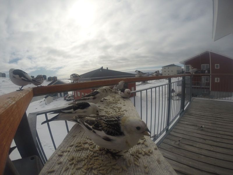 DCIM\116GOPRO