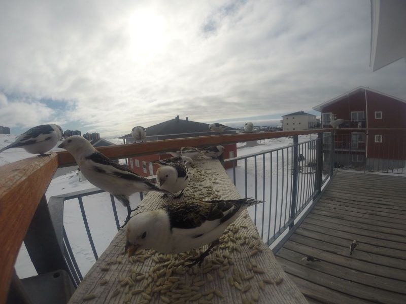 DCIM\116GOPRO