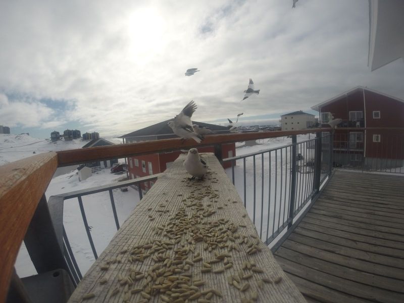 DCIM\116GOPRO