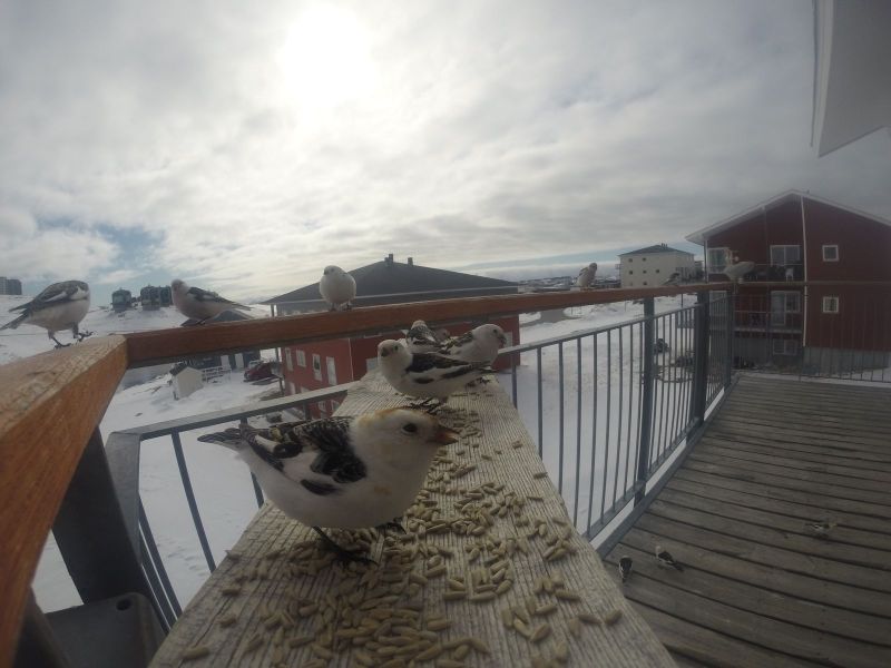 DCIM\116GOPRO