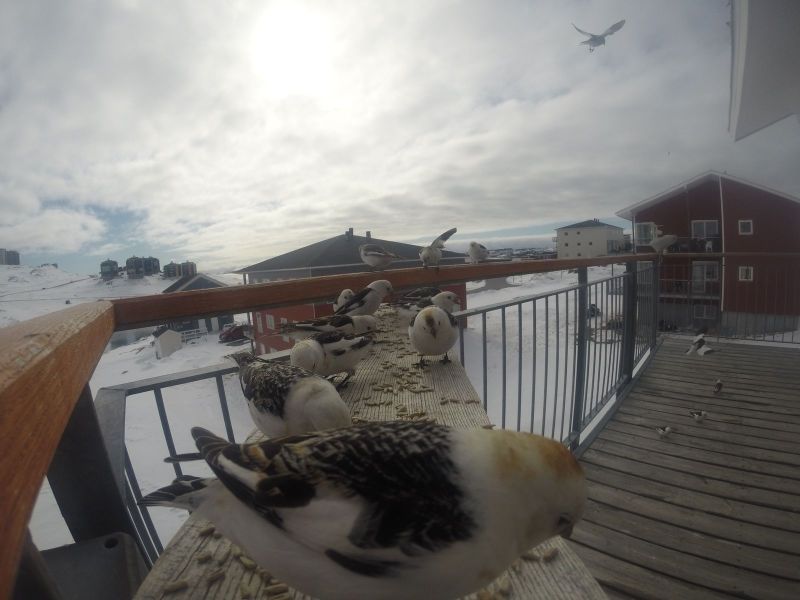 DCIM\116GOPRO