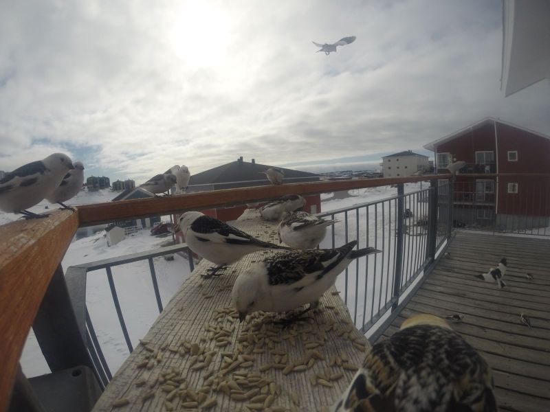 DCIM\116GOPRO