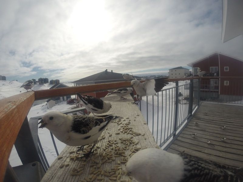 DCIM\116GOPRO