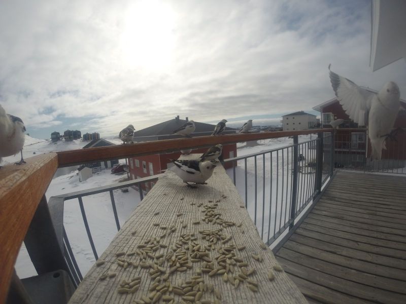 DCIM\116GOPRO