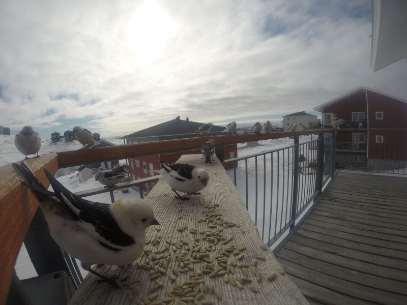 DCIM\116GOPRO