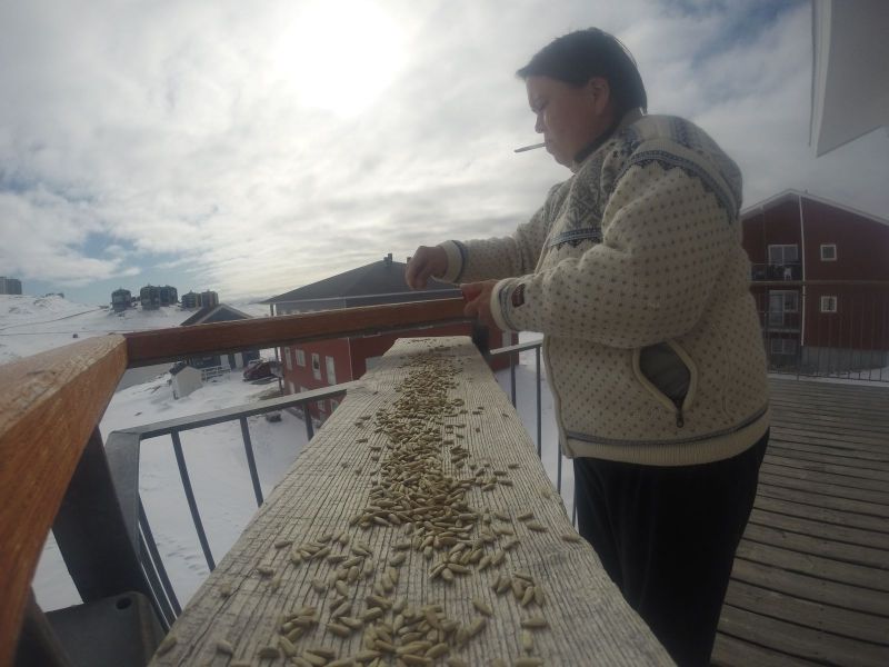 DCIM\116GOPRO