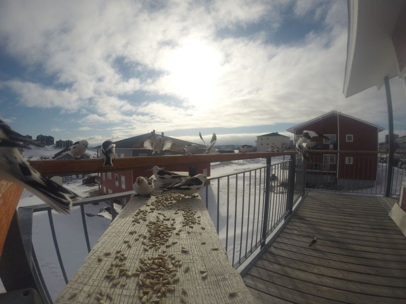 DCIM\116GOPRO