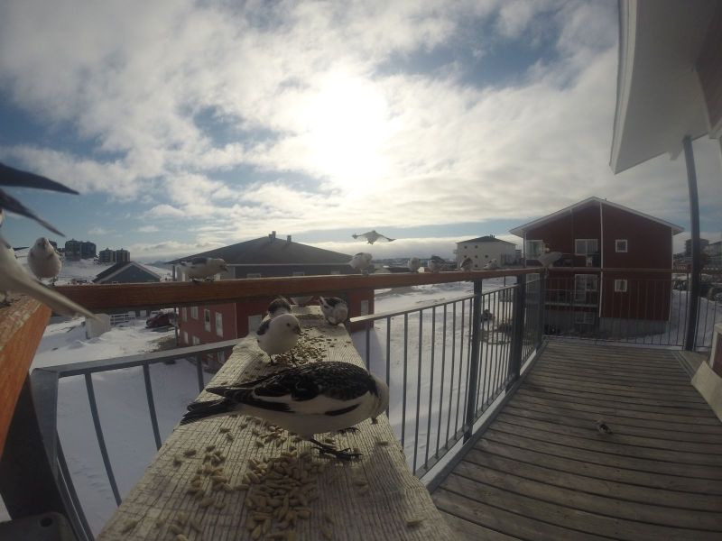 DCIM\116GOPRO
