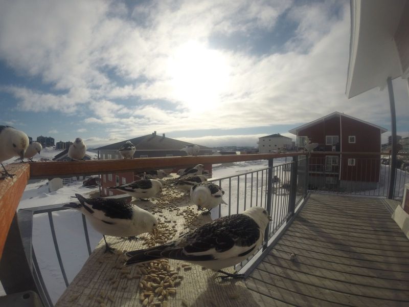 DCIM\116GOPRO