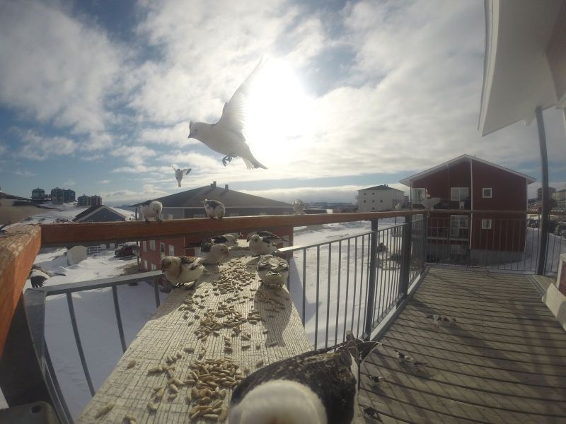 DCIM\116GOPRO