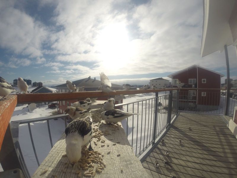 DCIM\116GOPRO