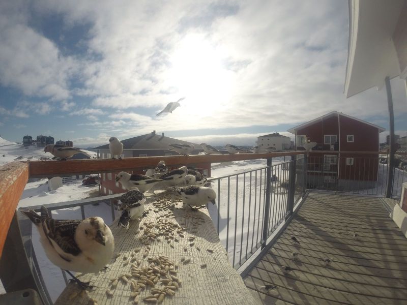 DCIM\116GOPRO