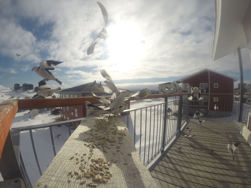 DCIM\116GOPRO