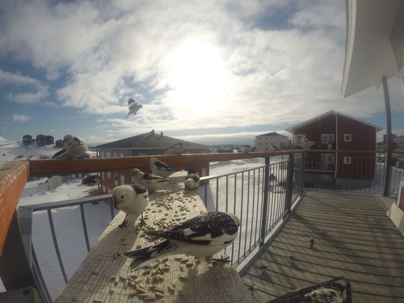 DCIM\116GOPRO