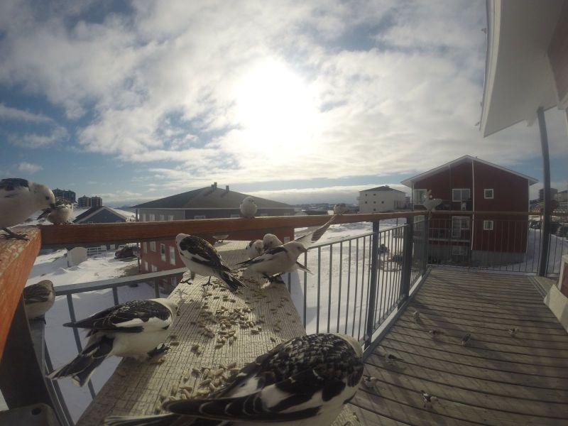 DCIM\116GOPRO