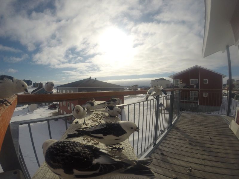 DCIM\116GOPRO