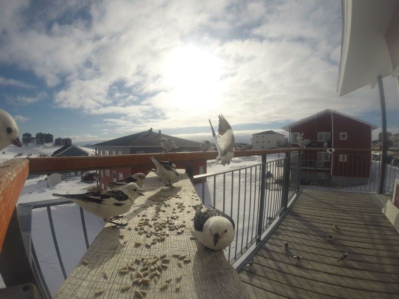 DCIM\116GOPRO