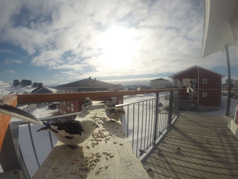 DCIM\116GOPRO