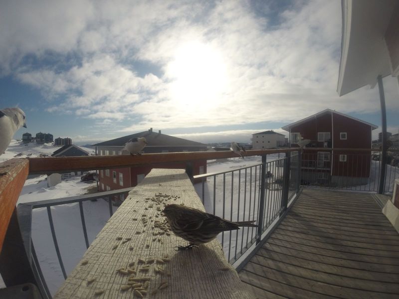 DCIM\116GOPRO
