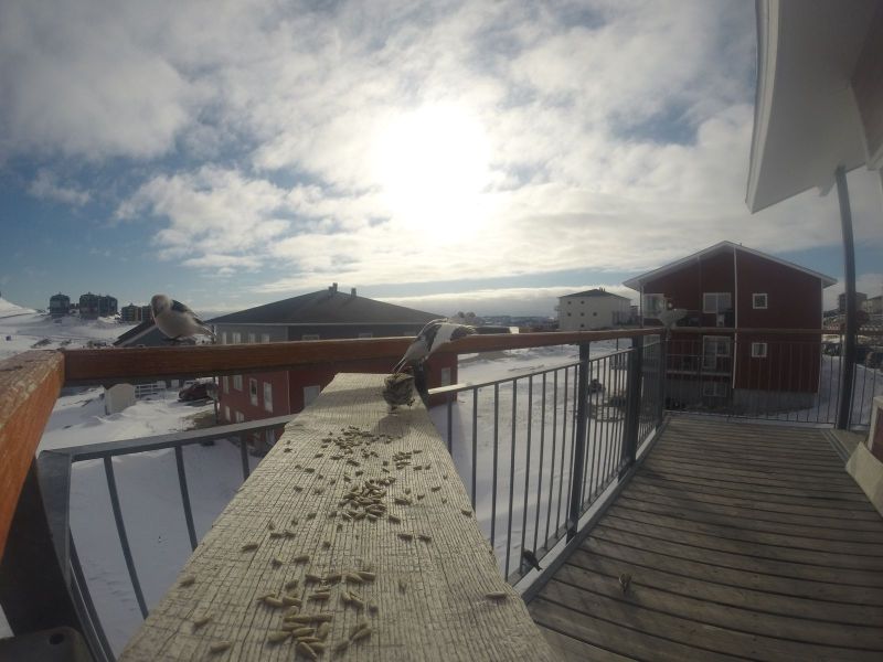 DCIM\116GOPRO