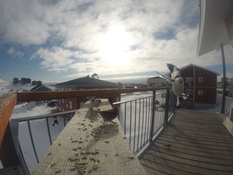 DCIM\116GOPRO