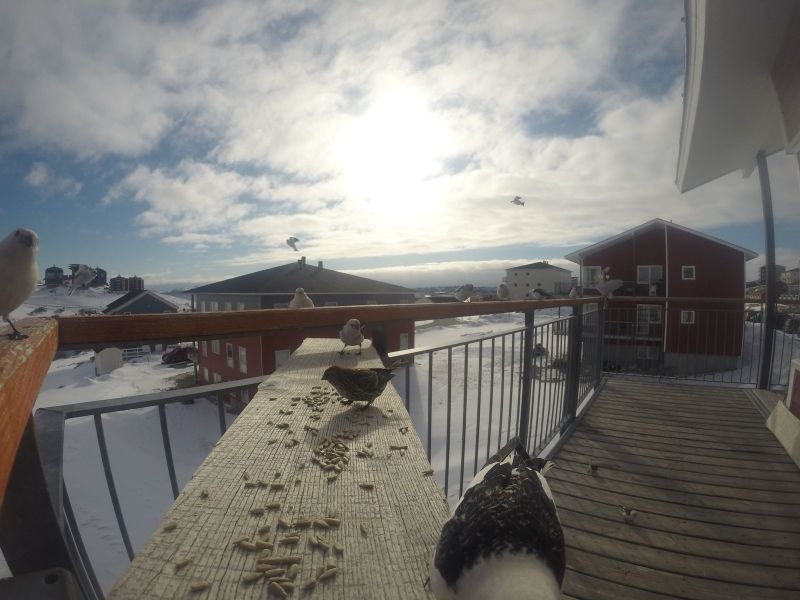 DCIM\116GOPRO