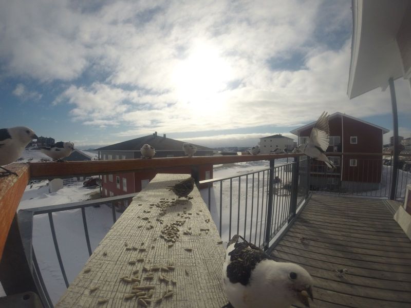 DCIM\116GOPRO
