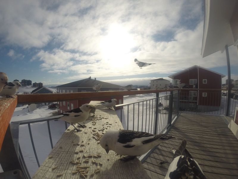 DCIM\116GOPRO