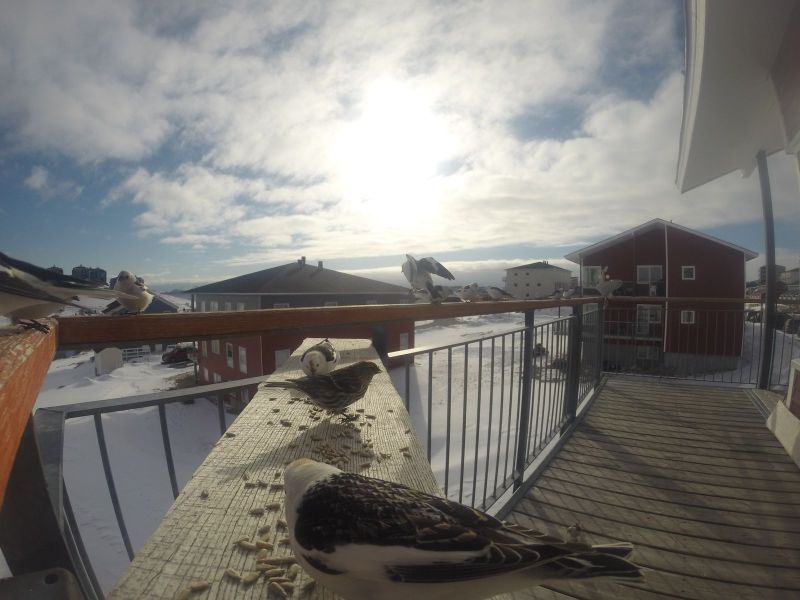 DCIM\116GOPRO