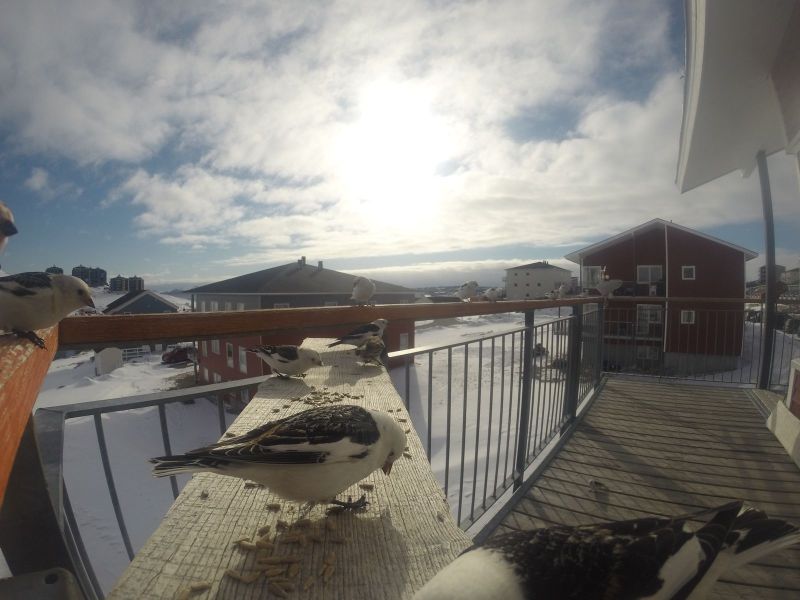 DCIM\116GOPRO