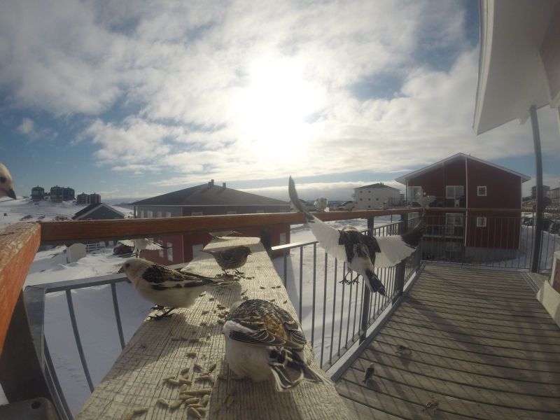 DCIM\116GOPRO