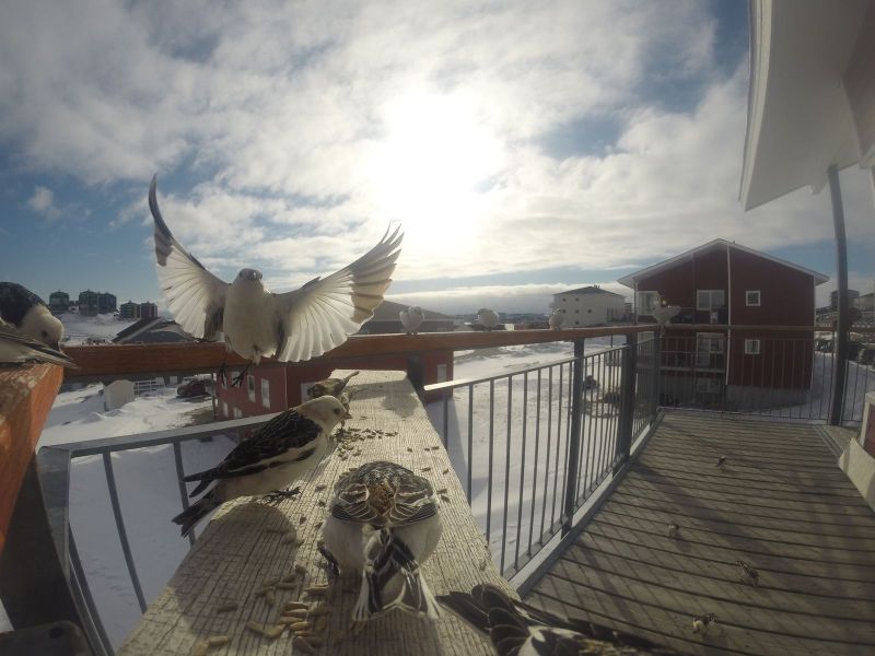 DCIM\116GOPRO
