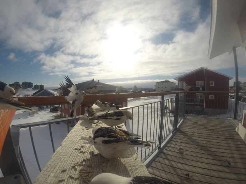 DCIM\116GOPRO