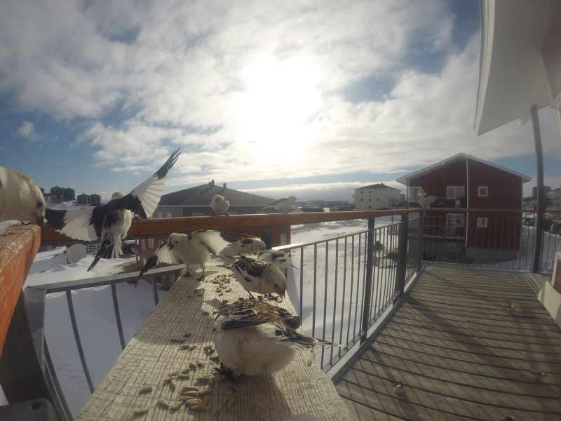DCIM\116GOPRO