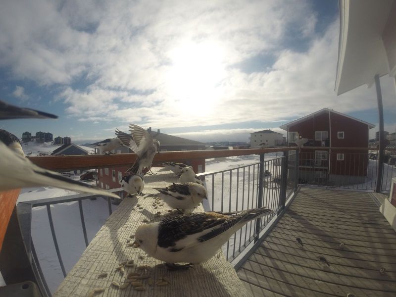 DCIM\116GOPRO