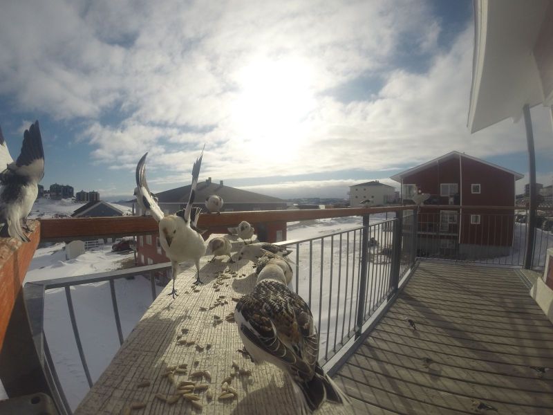 DCIM\116GOPRO