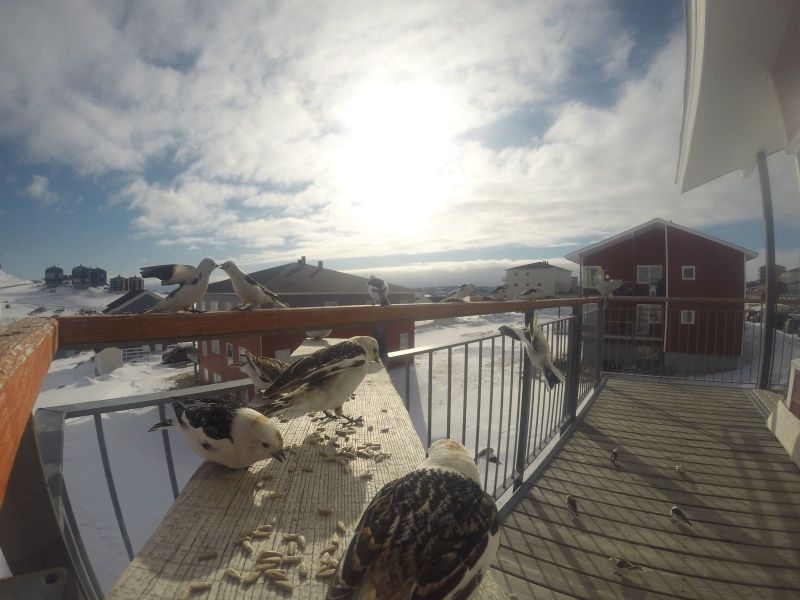 DCIM\116GOPRO