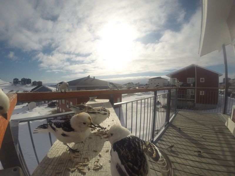 DCIM116GOPRO